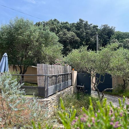 Villa Pierre Blanche Le Calme A 5Mn Du Centre Ville Nîmes Esterno foto