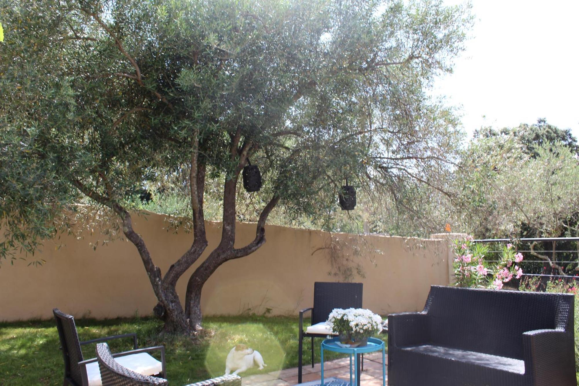 Villa Pierre Blanche Le Calme A 5Mn Du Centre Ville Nîmes Esterno foto